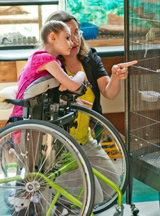 Standing in a Rifton Dynamic stander, a young girl looks at birds in her school's aviary